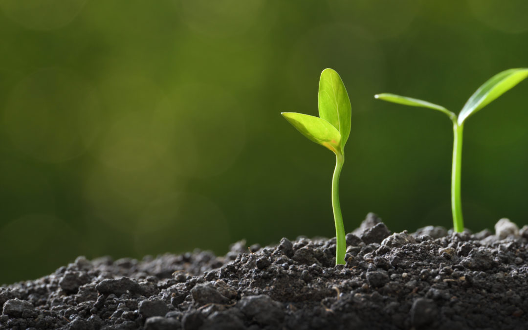 Job: Innovation Platform Manager – The Greenhouse Gas Removal Hub (NOW CLOSED)