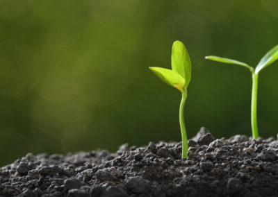Job: Innovation Platform Manager – The Greenhouse Gas Removal Hub (NOW CLOSED)
