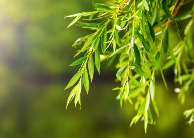 Now is the time to provide evidence to inform IPCC carbon removal reporting standards