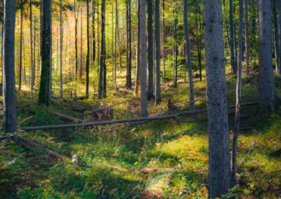 Climate change: Six priorities for pulling carbon out of the air