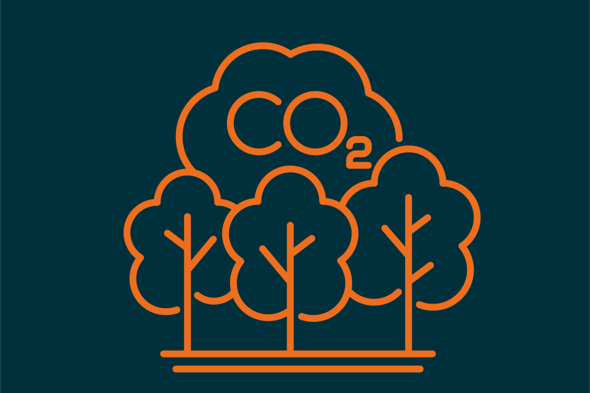 Sharing Perspectives: Greenhouse Gas Removal Market Transition Risk