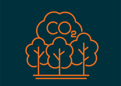 Sharing Perspectives: Greenhouse Gas Removal Market Transition Risk