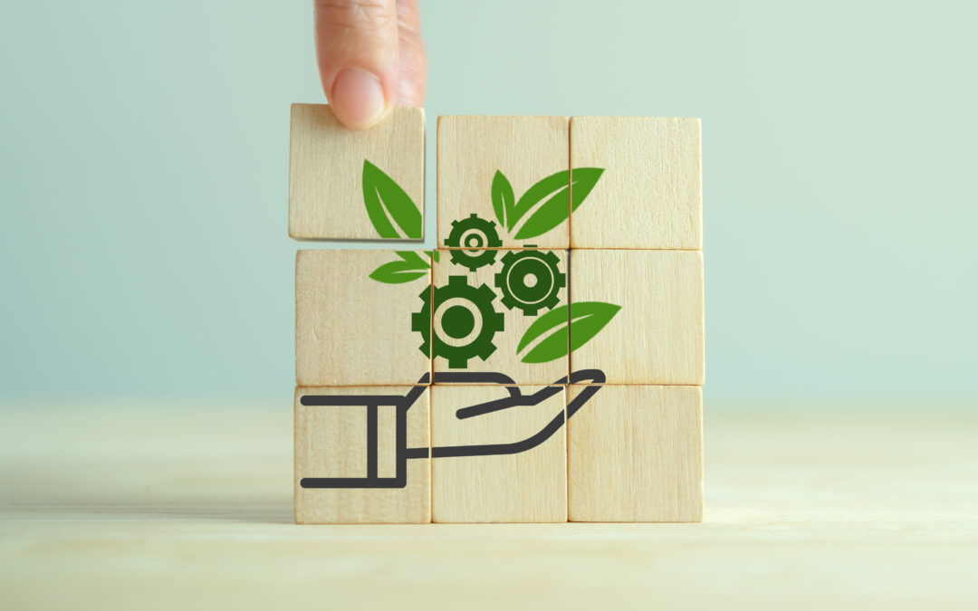 Delivering Greenhouse Gas Removal in the UK: Priorities for the government