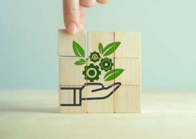 Building the new GGR industry: What roles for the government and private sector?