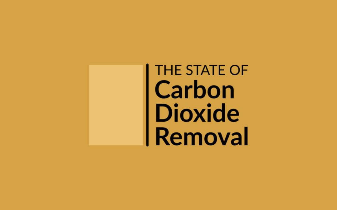 The State of Carbon Dioxide Removal – Report launch