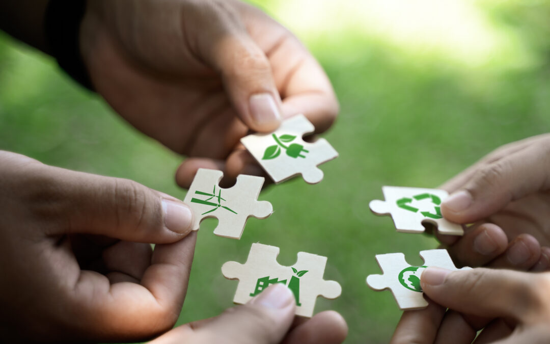 CDR Looking Ahead Workshop: Defining Growth in the Ecosystem