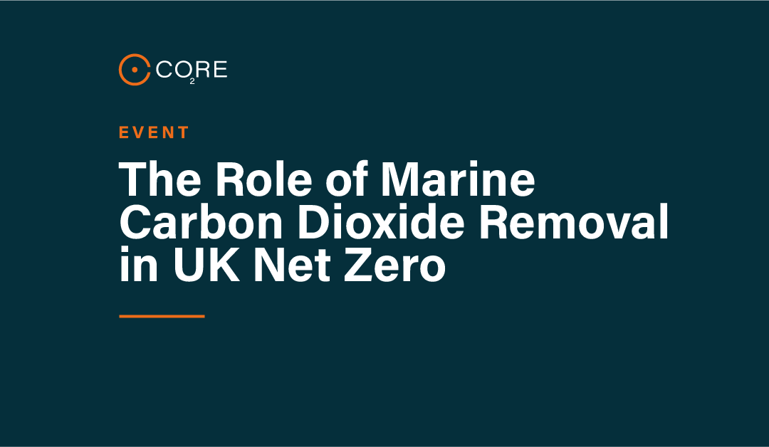 The Role of Marine Carbon Dioxide Removal (CDR) in UK Net Zero