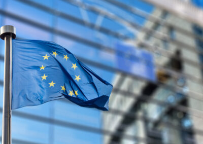 Regulating removals: 3 ways to improve the EU’s Monitoring, Reporting and Verification legislation