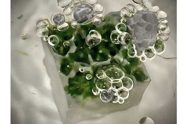 Harn Kua and Abhimanyu Goel