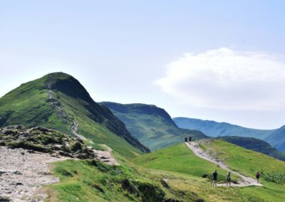 Reaction to the Seventh Carbon Budget