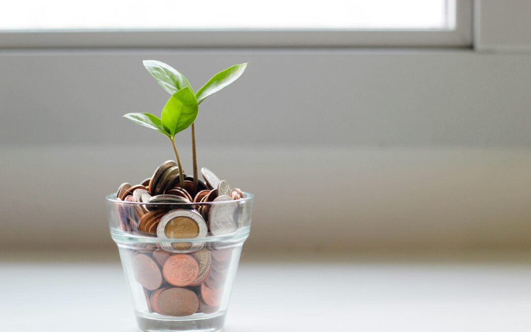 GGR Insights: Critical factors in financing GGR technologies from 2026 onwards