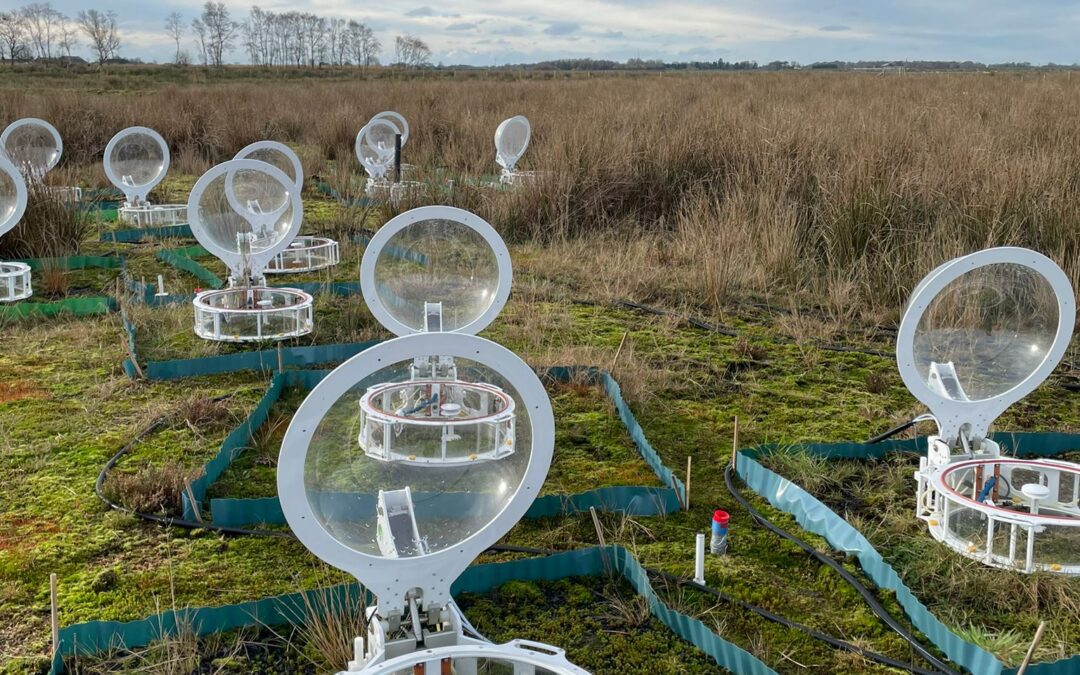 New report presents evidence from across the Greenhouse Gas Removal Demonstrators programme