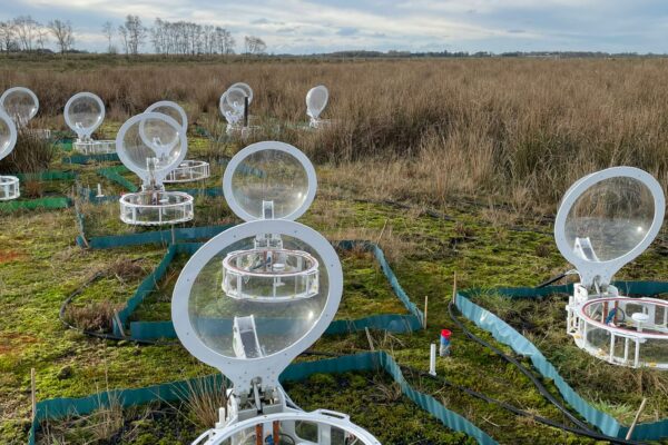 New report presents evidence from across the Greenhouse Gas Removal Demonstrators programme