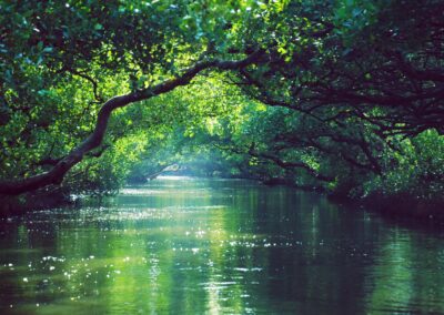 CO2RE Executive Director Dr Steve Smith named as IPCC author