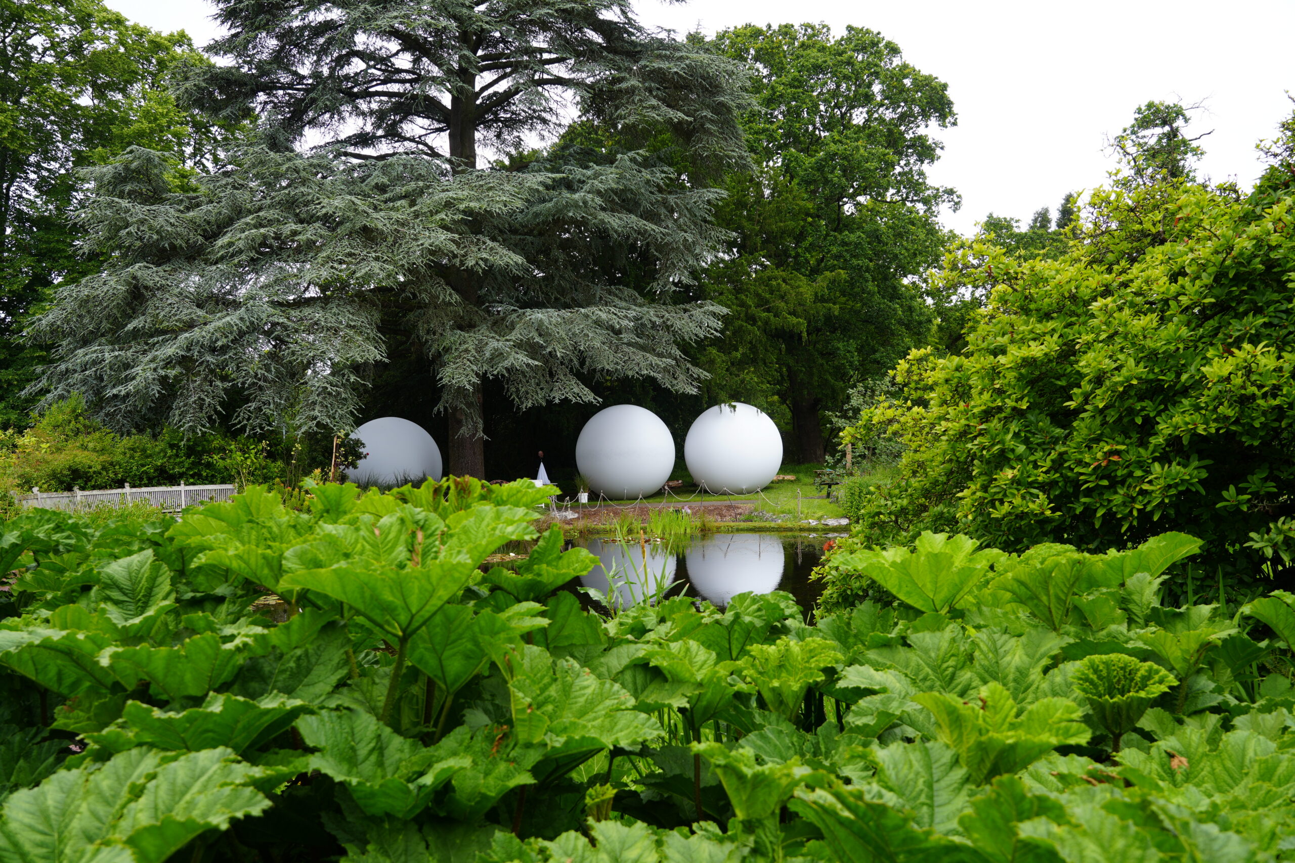Three large inflatable spheres rest on grass underneath tall trees. In front of them is a pond that is framed by large bushes and plants.