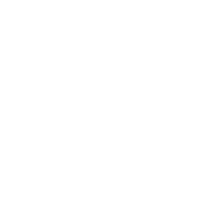 NetZeroPlus logo