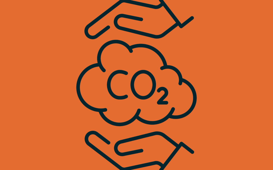 GGR is going to be key for climate. Here’s how our research programme is helping lead the way