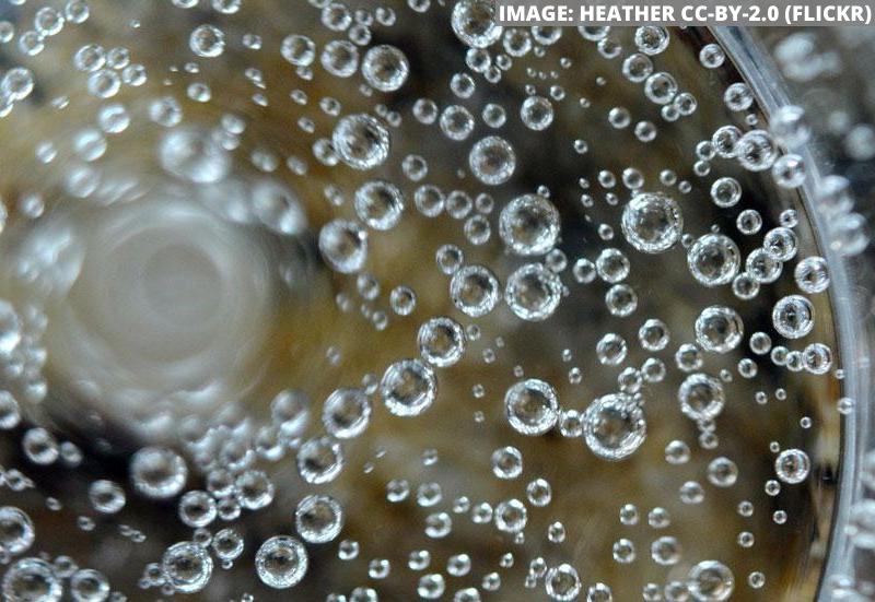 image shows trapped bubbles depicting co2