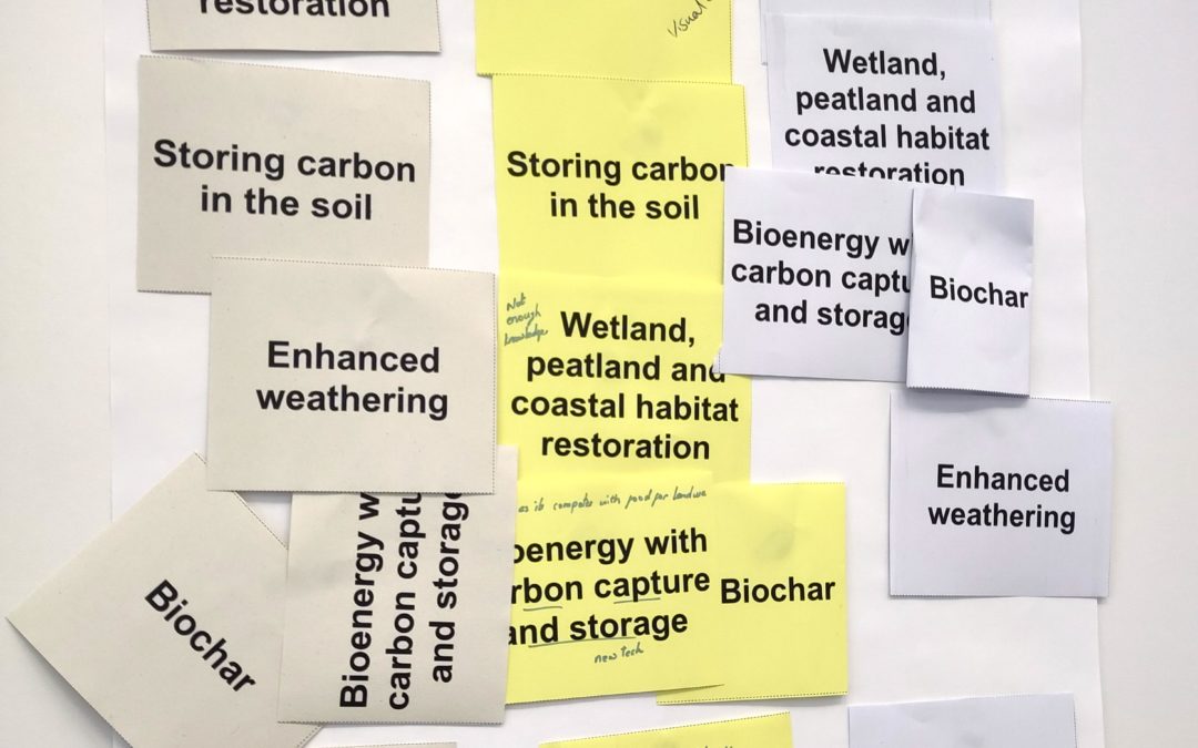 Field notes from an assembly of Greenhouse Gas Removal demonstrators