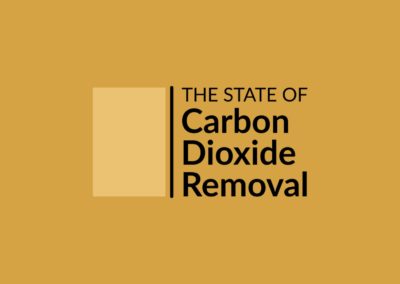 The State of Carbon Dioxide Removal – Report launch