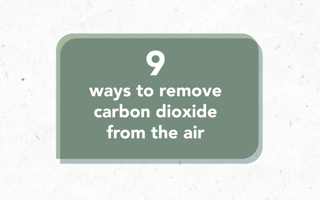 9 ways to remove carbon dioxide from the air