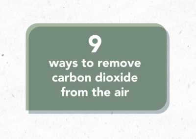9 ways to remove carbon dioxide from the air